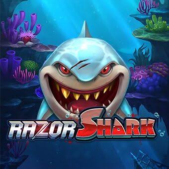 Razor Shark Jackpots – Spielbericht